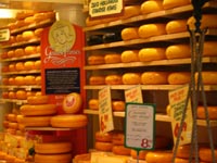 boatx-gouda