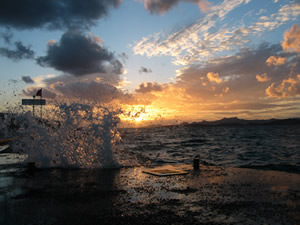 turkey-splash