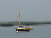 wyvern-eastcoast