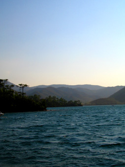 Amazon Creek