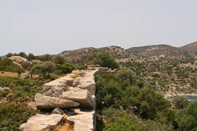 Loryma