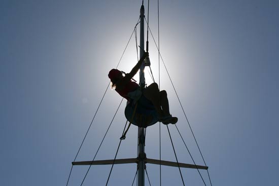 lizrig Liz's turn up the mast