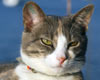 Millie