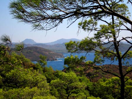 Goekova Peninsular