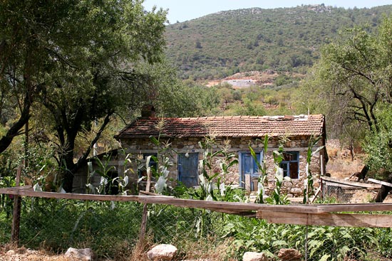 Local house
