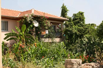 Rich Turk's holiday home