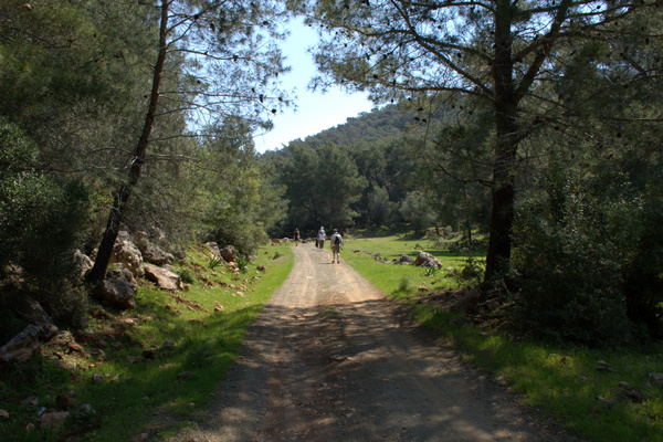 The Road to Nowhere