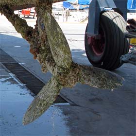 prop1 Maxprop: before...