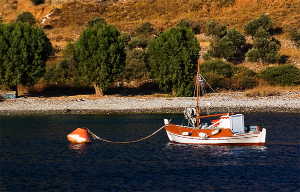 buoy buoy