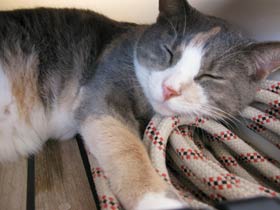 tired2