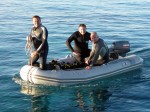 Scuba Diving And Snorkeling In The Red Sea