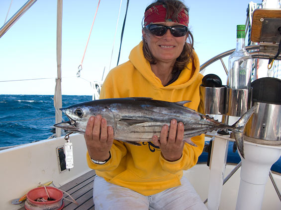 liz-tuna
