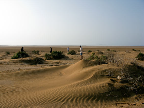 dunes