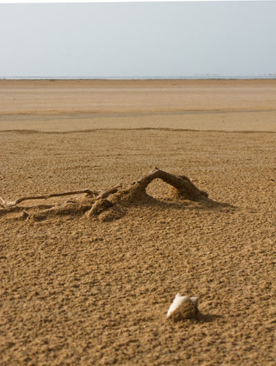 shell-bridge
