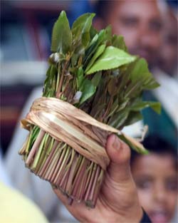 qat-hand