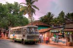 bus bus