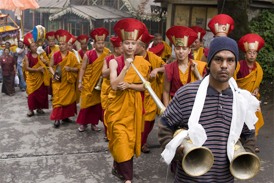 Big horns in Darjeeling