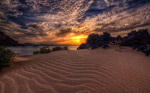 IMG_9675T