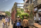 dharavi-banana-delivery-wideT