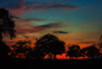 IMG_2465T