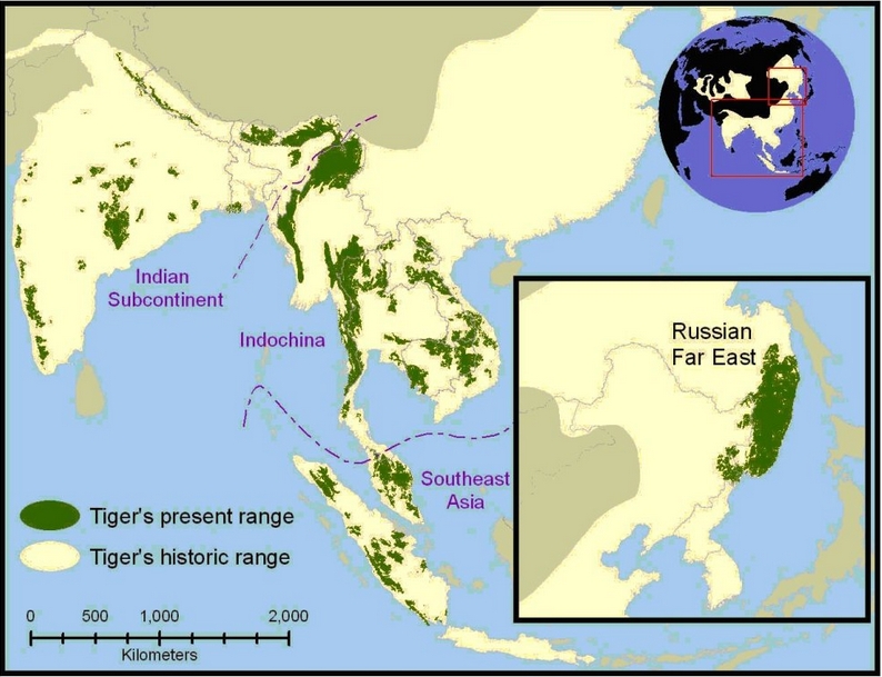 Tiger map